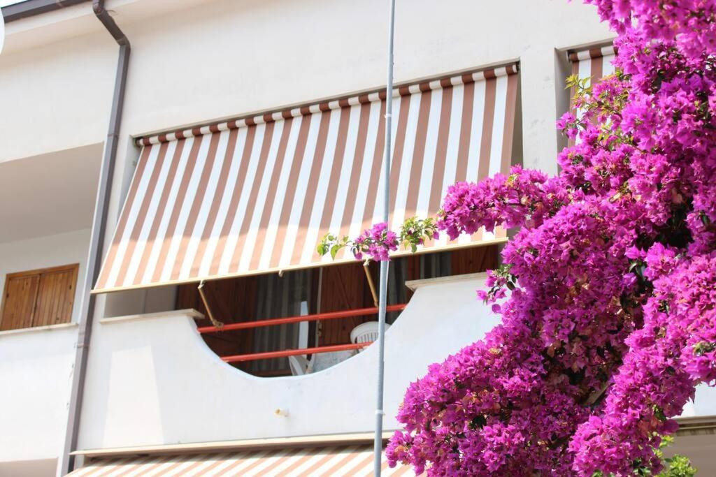 Roma A Un Passo E Il Mare In Casa Apartment Marina di Cerveteri Exterior photo